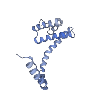 6310_3j9x_u_v1-2
A Virus that Infects a Hyperthermophile Encapsidates A-Form DNA