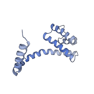 6310_3j9x_y_v1-2
A Virus that Infects a Hyperthermophile Encapsidates A-Form DNA