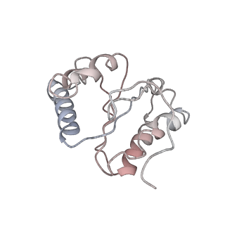 6311_3j9y_5_v1-2
Cryo-EM structure of tetracycline resistance protein TetM bound to a translating E.coli ribosome