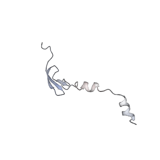 6311_3j9y_6_v1-2
Cryo-EM structure of tetracycline resistance protein TetM bound to a translating E.coli ribosome
