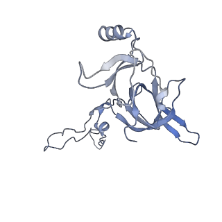 6311_3j9y_D_v1-2
Cryo-EM structure of tetracycline resistance protein TetM bound to a translating E.coli ribosome