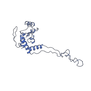 6311_3j9y_E_v1-2
Cryo-EM structure of tetracycline resistance protein TetM bound to a translating E.coli ribosome