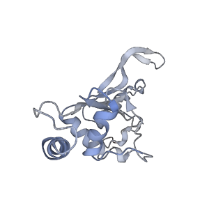6311_3j9y_F_v1-2
Cryo-EM structure of tetracycline resistance protein TetM bound to a translating E.coli ribosome