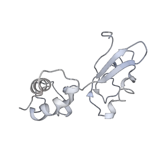 6311_3j9y_I_v1-2
Cryo-EM structure of tetracycline resistance protein TetM bound to a translating E.coli ribosome