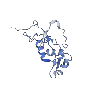 6311_3j9y_J_v1-2
Cryo-EM structure of tetracycline resistance protein TetM bound to a translating E.coli ribosome