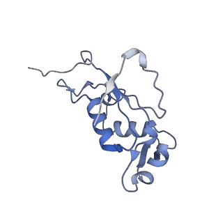 6311_3j9y_J_v2-1
Cryo-EM structure of tetracycline resistance protein TetM bound to a translating E.coli ribosome