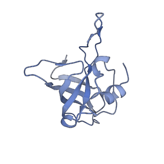 6311_3j9y_K_v1-2
Cryo-EM structure of tetracycline resistance protein TetM bound to a translating E.coli ribosome