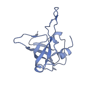 6311_3j9y_K_v2-1
Cryo-EM structure of tetracycline resistance protein TetM bound to a translating E.coli ribosome