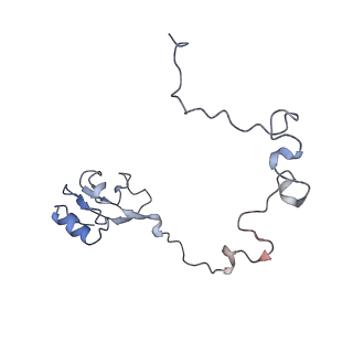6311_3j9y_L_v1-2
Cryo-EM structure of tetracycline resistance protein TetM bound to a translating E.coli ribosome
