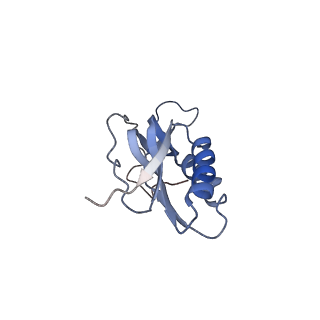 6311_3j9y_M_v1-2
Cryo-EM structure of tetracycline resistance protein TetM bound to a translating E.coli ribosome