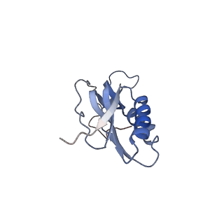 6311_3j9y_M_v2-1
Cryo-EM structure of tetracycline resistance protein TetM bound to a translating E.coli ribosome