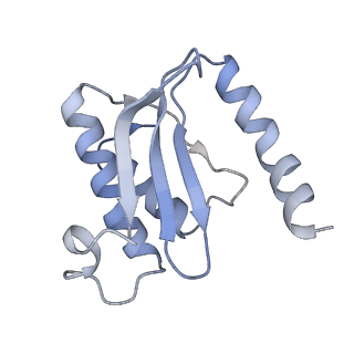 6311_3j9y_O_v1-2
Cryo-EM structure of tetracycline resistance protein TetM bound to a translating E.coli ribosome