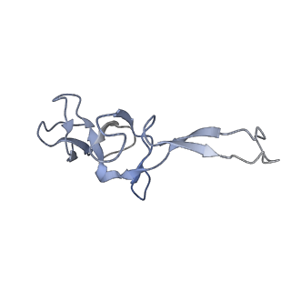 6311_3j9y_U_v1-2
Cryo-EM structure of tetracycline resistance protein TetM bound to a translating E.coli ribosome