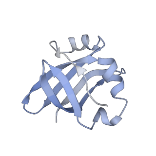 6311_3j9y_V_v2-1
Cryo-EM structure of tetracycline resistance protein TetM bound to a translating E.coli ribosome
