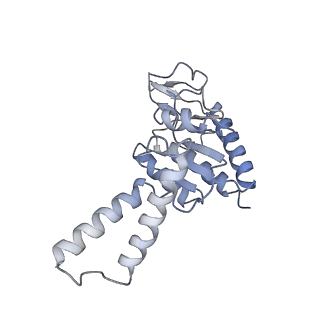 6311_3j9y_b_v1-2
Cryo-EM structure of tetracycline resistance protein TetM bound to a translating E.coli ribosome