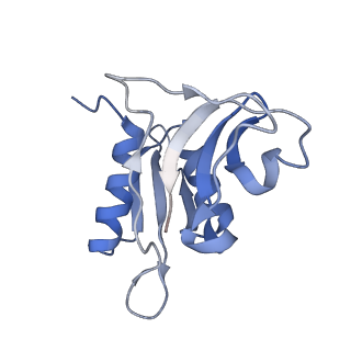 6311_3j9y_h_v1-2
Cryo-EM structure of tetracycline resistance protein TetM bound to a translating E.coli ribosome