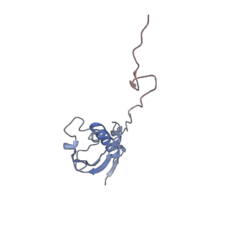6311_3j9y_i_v1-2
Cryo-EM structure of tetracycline resistance protein TetM bound to a translating E.coli ribosome