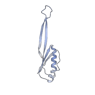 6311_3j9y_j_v1-2
Cryo-EM structure of tetracycline resistance protein TetM bound to a translating E.coli ribosome