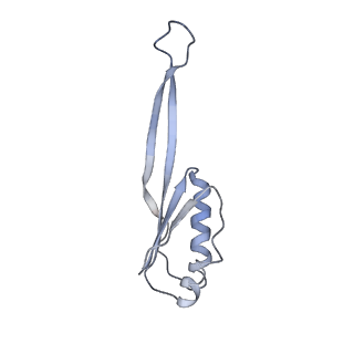 6311_3j9y_j_v2-1
Cryo-EM structure of tetracycline resistance protein TetM bound to a translating E.coli ribosome