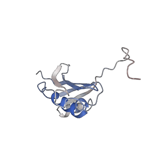 6311_3j9y_k_v1-2
Cryo-EM structure of tetracycline resistance protein TetM bound to a translating E.coli ribosome
