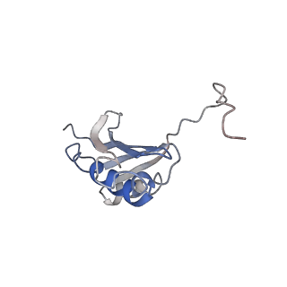 6311_3j9y_k_v2-1
Cryo-EM structure of tetracycline resistance protein TetM bound to a translating E.coli ribosome