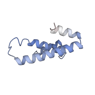 6311_3j9y_o_v1-2
Cryo-EM structure of tetracycline resistance protein TetM bound to a translating E.coli ribosome