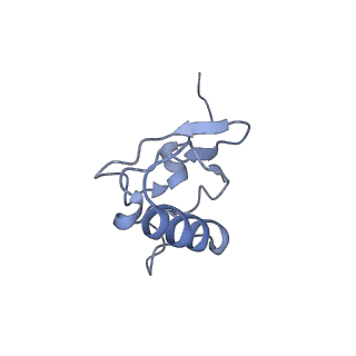 6311_3j9y_s_v1-2
Cryo-EM structure of tetracycline resistance protein TetM bound to a translating E.coli ribosome