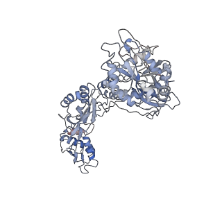 6311_3j9y_w_v1-2
Cryo-EM structure of tetracycline resistance protein TetM bound to a translating E.coli ribosome