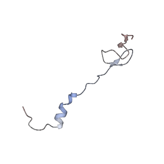 6315_3j9z_L1_v1-3
Activation of GTP Hydrolysis in mRNA-tRNA Translocation by Elongation Factor G