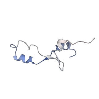 6315_3j9z_L4_v1-2
Activation of GTP Hydrolysis in mRNA-tRNA Translocation by Elongation Factor G