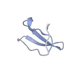 6315_3j9z_L5_v1-2
Activation of GTP Hydrolysis in mRNA-tRNA Translocation by Elongation Factor G