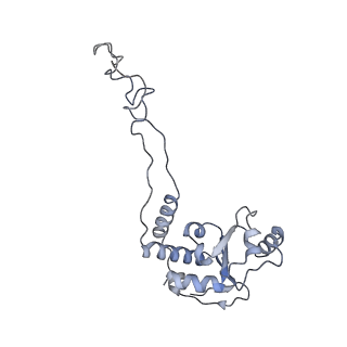 6315_3j9z_L6_v1-3
Activation of GTP Hydrolysis in mRNA-tRNA Translocation by Elongation Factor G