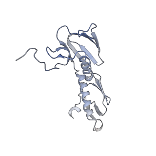 6315_3j9z_L8_v1-2
Activation of GTP Hydrolysis in mRNA-tRNA Translocation by Elongation Factor G