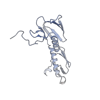 6315_3j9z_L8_v1-3
Activation of GTP Hydrolysis in mRNA-tRNA Translocation by Elongation Factor G