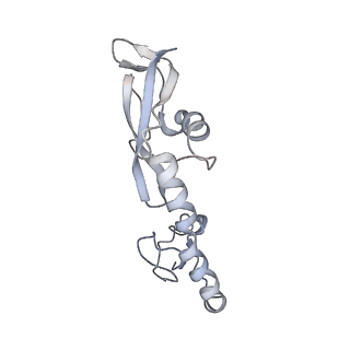 6315_3j9z_L9_v1-2
Activation of GTP Hydrolysis in mRNA-tRNA Translocation by Elongation Factor G