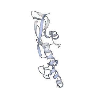 6315_3j9z_L9_v1-3
Activation of GTP Hydrolysis in mRNA-tRNA Translocation by Elongation Factor G