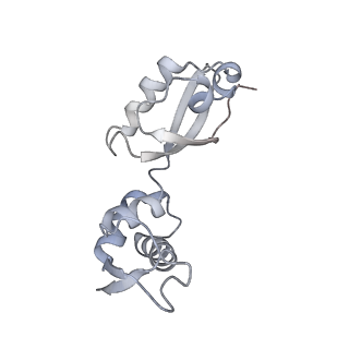 6315_3j9z_LE_v1-3
Activation of GTP Hydrolysis in mRNA-tRNA Translocation by Elongation Factor G