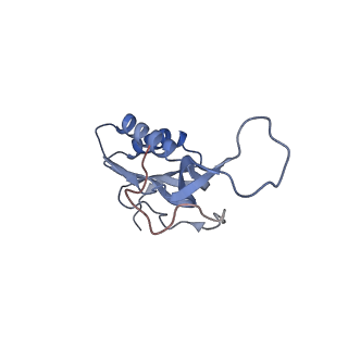 6315_3j9z_LI_v1-3
Activation of GTP Hydrolysis in mRNA-tRNA Translocation by Elongation Factor G