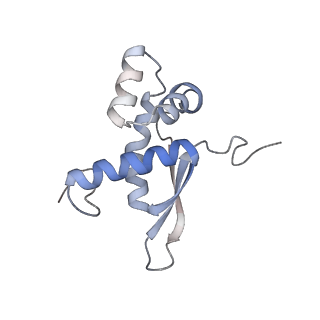 6315_3j9z_LJ_v1-2
Activation of GTP Hydrolysis in mRNA-tRNA Translocation by Elongation Factor G