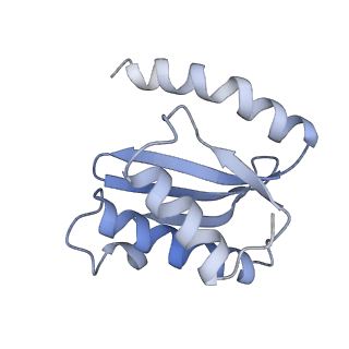 6315_3j9z_LK_v1-2
Activation of GTP Hydrolysis in mRNA-tRNA Translocation by Elongation Factor G