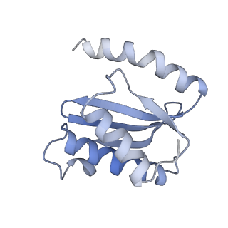 6315_3j9z_LK_v1-3
Activation of GTP Hydrolysis in mRNA-tRNA Translocation by Elongation Factor G