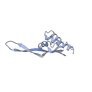 6315_3j9z_LQ_v1-2
Activation of GTP Hydrolysis in mRNA-tRNA Translocation by Elongation Factor G