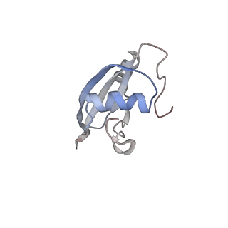 6315_3j9z_LR_v1-3
Activation of GTP Hydrolysis in mRNA-tRNA Translocation by Elongation Factor G