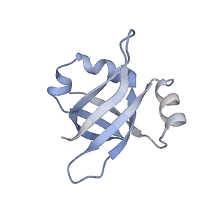 6315_3j9z_LT_v1-2
Activation of GTP Hydrolysis in mRNA-tRNA Translocation by Elongation Factor G