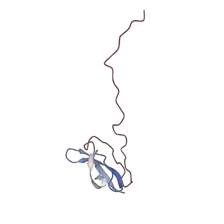 6315_3j9z_LU_v1-2
Activation of GTP Hydrolysis in mRNA-tRNA Translocation by Elongation Factor G