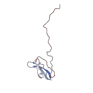 6315_3j9z_LU_v1-3
Activation of GTP Hydrolysis in mRNA-tRNA Translocation by Elongation Factor G