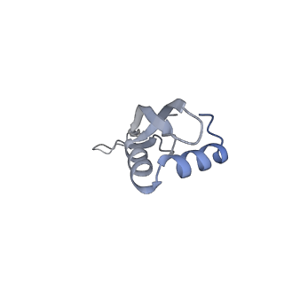 6315_3j9z_LV_v1-3
Activation of GTP Hydrolysis in mRNA-tRNA Translocation by Elongation Factor G