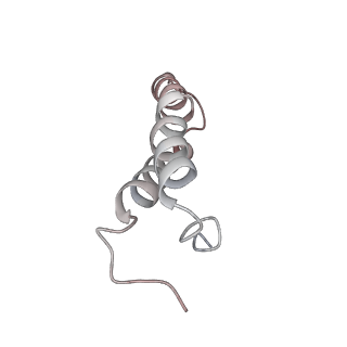 6315_3j9z_LW_v1-3
Activation of GTP Hydrolysis in mRNA-tRNA Translocation by Elongation Factor G