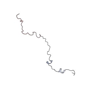 6315_3j9z_LZ_v1-3
Activation of GTP Hydrolysis in mRNA-tRNA Translocation by Elongation Factor G