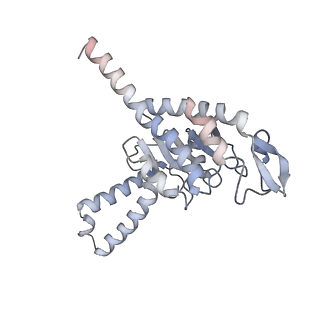 6315_3j9z_SB_v1-2
Activation of GTP Hydrolysis in mRNA-tRNA Translocation by Elongation Factor G